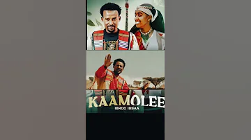KAAMOLEE IBRO IBSA OROMO MUSIC Oromomusic Oromotiktok Sirbahaaraa Sirbaoromoo 