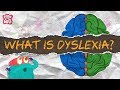 Dyslexia  what is dyslexia  learning disability  the dr binocs show  peekaboo kidz