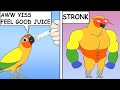 Funny Comics With A Parrot Twist #1 | Webcomic Dub
