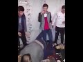 والله جته دفعه من وره خربت الحفله كلهه ههههههههههه خرب