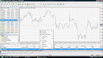 Go Markets - Using the MetaTrader4 Terminal Window for Forex Trading