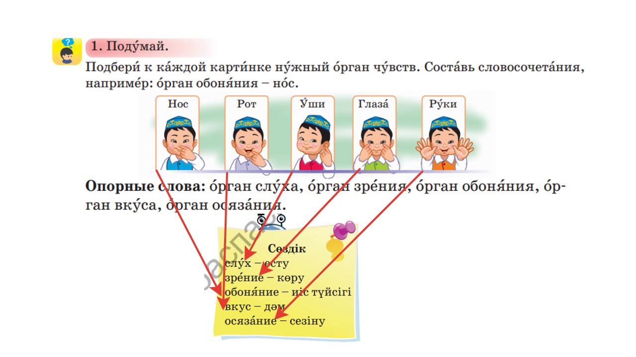 Русский язык 3 класс казахская школа