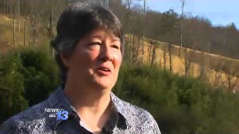 Stolen Flag Returned