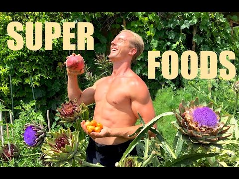 Secret SUPERFOODS for Health & Mastery of MARTIAL ARTS!!!