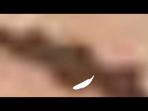 حصرياً 2020 | اصاله الشريجه علمني الوقت حقوق النشر محفوظة
