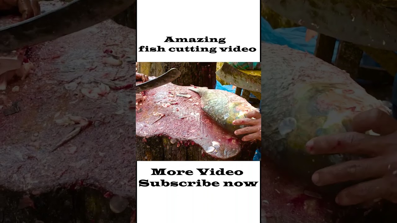 Big Carp Fish Cutting Skills | Amazing 15 Kg Giant Katla Fish Cutting Skills 