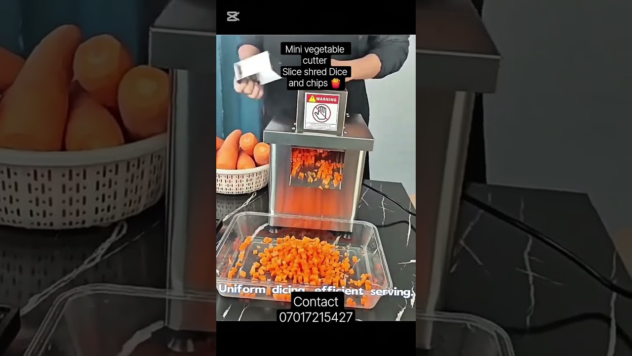 Industrial Vegetable Cutter/Food Processor