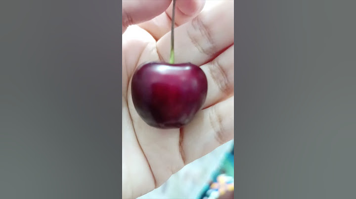 Goat's Milk Fruit  - a Yunnan fruit that 90 % of People have Never Tried