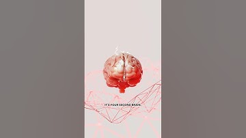 Top AI Tools to Boost Productivity in 2025 🚀📱