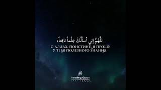 Ridjaal Ahmed Dua
