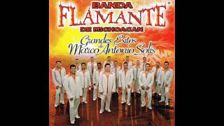 Video thumbnail of "Banda Flamante De Michoacán - Este Adiós"