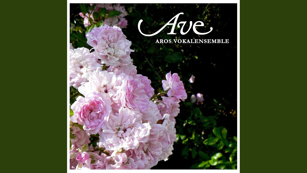 La rose complète YouTube