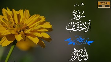 يَٰقَوۡمَنَآ أَجِيبُواْ دَاعِيَ ٱللَّه💓 | أواخر سورة الأحقاف بترتيل هادئ🌸 | القارئ أنس أحمد  🎧
