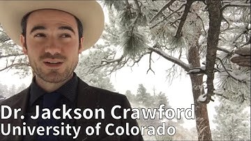 Runes in Egil’s Saga