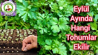 Eylül Ayında Hangi Tohumlar Ekilir Ve Fideler Dikilir🌱Kışlık Bitkiler Ne Zaman Ekilir🌱