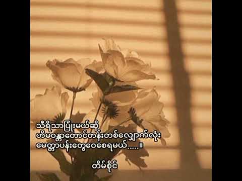 .....#songs #feelings #စာတို #crush #crd #love #tiktok #view #fypシ #maca #shorts #myanmar