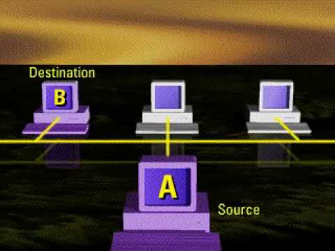 Arp.wmv