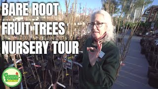 Bare Root Fruit Trees Tour at Green Thumb Nursery (Full Walk-through)