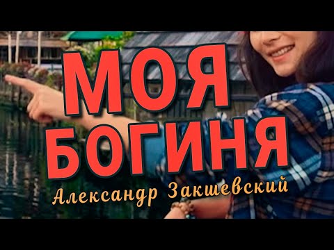 Шикарная Песня! Берёт За Душу! Моя Богиня - Александр Закшевский