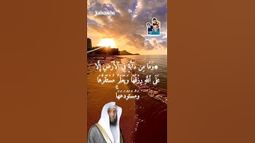 الآية (6) من سورة هود, بصوت القارئ الشيخ عادل ريان.