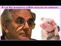 Билли Страйкен. Если Вы женитесь и Вам подсунули свинью…