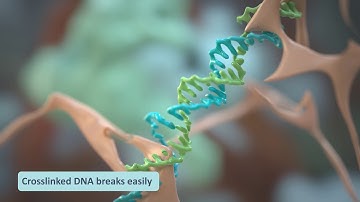 Cancer genomics - getting high quality DNA from tumour samples