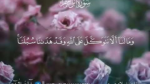 تلاوة خاشعة ليس لها مثيل ييااارب😍😍😍😍