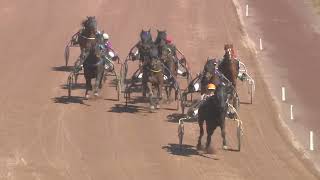 Vidéo de la course PMU PRIX DES NARCISSES