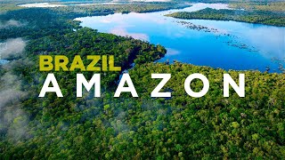 AMAZON, BRAZIL: Piranhas, monkeys and DOLPHINS in World's Best Jungle