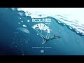Goldie - Megalodon