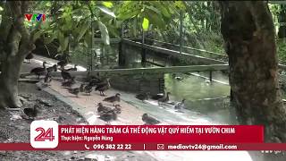 Phát hiện hàng trăm cá thể động vật quý hiếm tại vườn chim miền Tây | VTV24