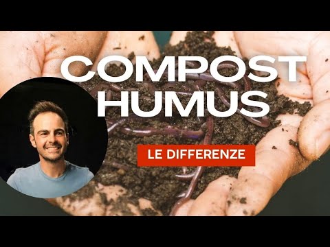 Video: Di cosa è fatto l'humus - Scopri la differenza tra compost e humus