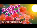 🎺 УРА ВОСКРЕСЕНЬЕ! 🎺 ДОБРОГО УТРА / ДОБРОЕ УТРО / С ДОБРЫМ УТРОМ / ДОБРОГО УТРА ЛЮБИМОЙ / КАРТИНКИ