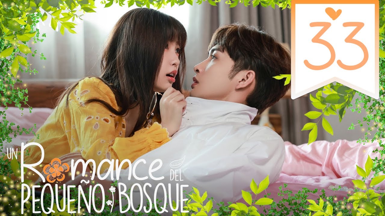 【SUB ESPAÑOL】 Drama: Un Romance del Pequeño Bosque - A Romance of the