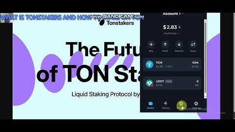 HOW TO MAKE YOUR IDLE TON WORK FOR YOU ON TON BLOCKCHAIN USING TONSTAKERS PROTOCOL