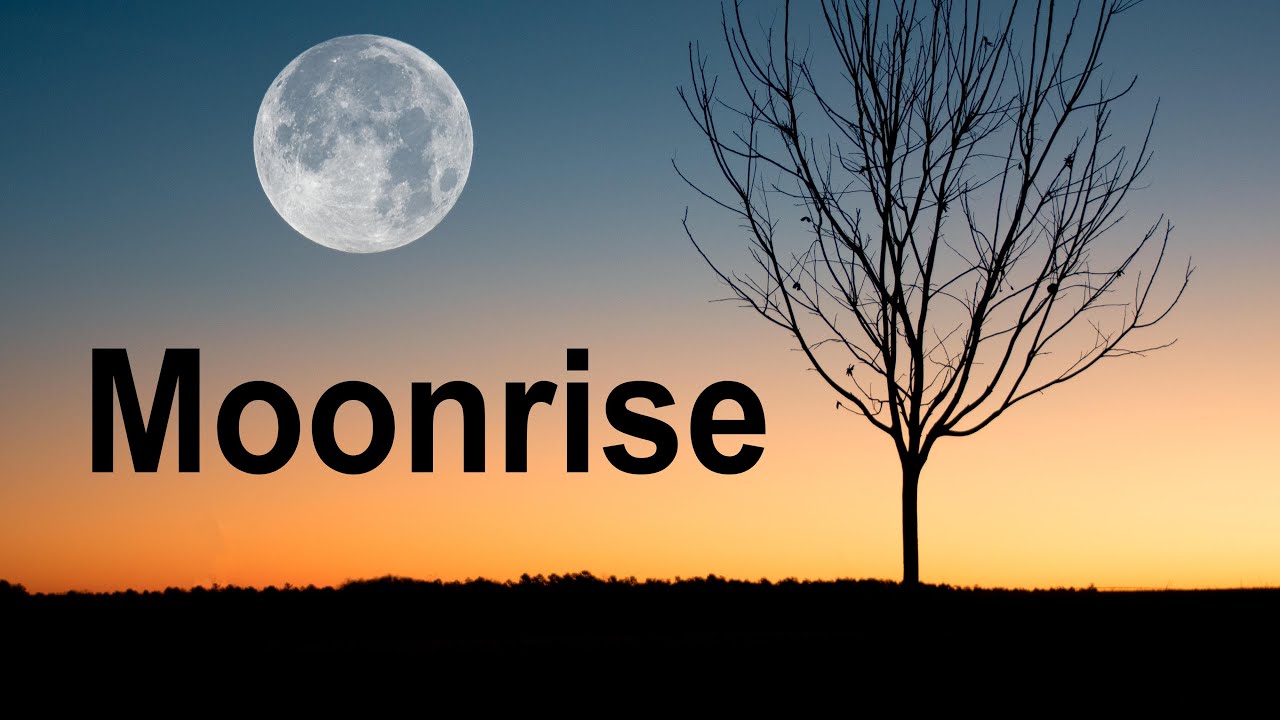 Moonrise || Free Background Music || Royalty free 