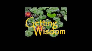 Getting Wisdom 22 by Getting Wisdom 5 views 9 months ago 19 minutes