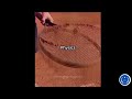 Newtown's first law ll 3D video Newton's first law ll Practical Newton's third law