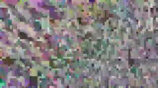 TALYR_VID31-603528N0352455E_20260930_165202366-75F0-9012#d51f1fba.mp4