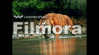 Soundbank - Tiger's Roar!