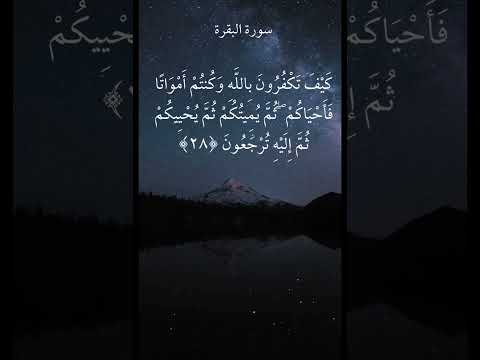 كيف تكفرون بالله وكنتم أمواتا فأحياكم ثم يميتكم ثم يحييكم ثم إليه ترجعون