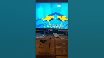 Shark bus Baby shark scene V major reversed