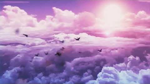(وقيل الحمدلله رب العالمين)💙/قرآن كريم بصوت الشيخ حسن صالح ❤ حالات واتس اب قرآن كريم