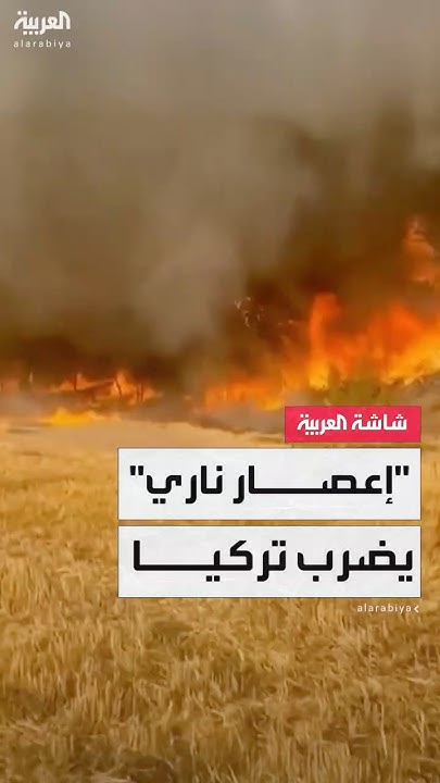       ..        - -
 - نشر قبل 30 دقيقة