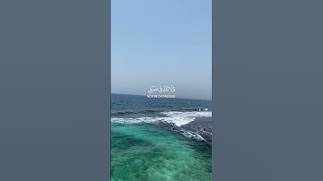 #اكسبلور #تلاوة_خاشعة #راحة_نفسية #حالة_وتساب #قرآن_كريم_أرح_قلبك_وسمعك