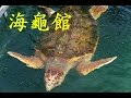 Triple遊日本之旅.海龜館.串本海中公園.海中展望塔 の動画、YouTube動画。