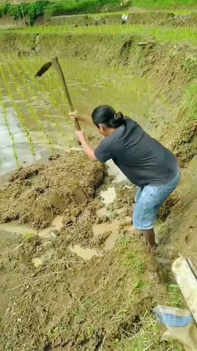 menguras tenaga aslina #shortvideo