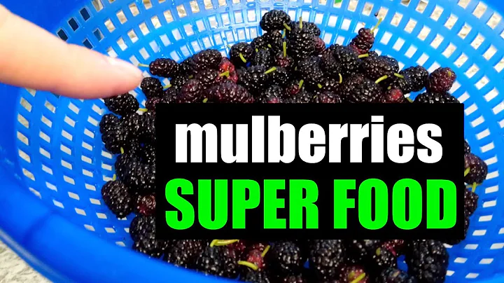 Health Benefits of Mulberries - DayDayNews