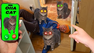 IF OIIAOIIA CAT IS CALLING YOU - RUN Part 3