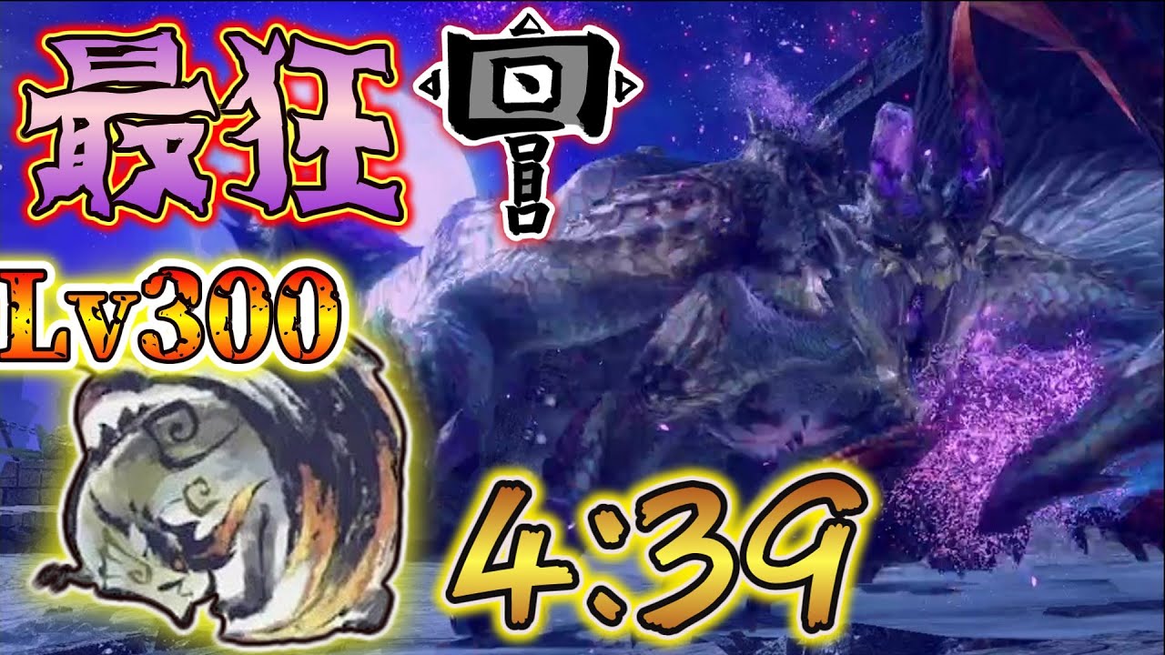 Lv300傀異克服シャガルマガラ　ハンマーTA　4'39